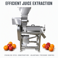 Commerciële spiraalpers voor fruitverwerkingsbedrijven & gember/wortelsapmachine motor 220V hoge productiviteit fabrieks prijs
