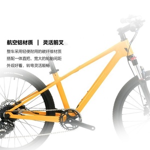 Bicicleta Ultraligera de Fibra de Carbono para Montaña, Juvenil, Estudiantil, 9 Velocidades, Frenos de Disco, Elq24179 - Product Image 2