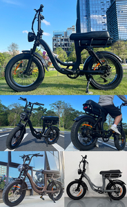 Trong Kho Thủy Lực Phanh Chất Béo Lốp E-Xe Đạp 20Inch Off Road Chu Kỳ Điện 48V 250W 18.2AH Lithium Pin Điện Thành Phố Xe Đạp - Product Image 5