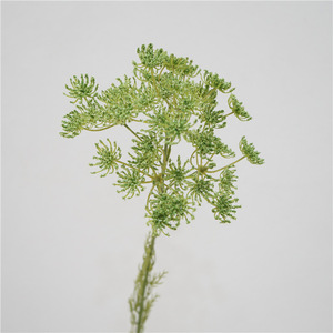Offre Spéciale de dentelle de fleur de carotte blanche de haute qualité décor artificiel pour mariage maison et fête pour l'obtention du diplôme et noël - Product Image 2