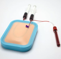 Kit de Modèle d'Entraînement en Silicone pour Ponction Veineuse, Coussin de Peau Artificielle pour la Pratique du Prélèvement Sanguin et des Injections IV