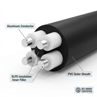 Câble d'alimentation YJLV en aluminium isolé XLPE, gaine PVC, basse tension, pour installation souterraine, 4 conducteurs