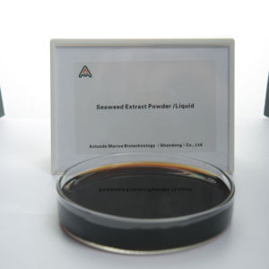 Stimulant d'enracinement biologique à base d'extrait d'algues, <span class=keywords><strong>engrais</strong></span> biologique, algues liquides brutes - Product Image 2