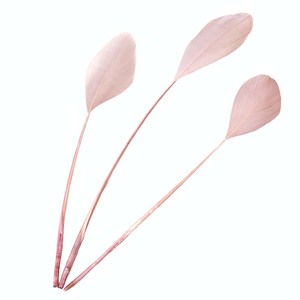Pluma de ganso de colores, joyería, pendiente, decoración, plumas de cisne de 15-20cm/6-8 pulgadas para manualidades, 50 unids/pack - Product Image 6