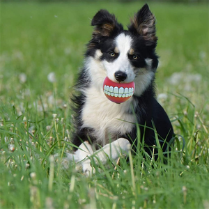 Factory Price Funny Pet Teeth Pattern <b>Balls</b> Squeaky <b>Dogs</b> Toys Sound Bite Resistant Durable <b>Dogs</b> Training Chew Toys Color Random - Product Image 2