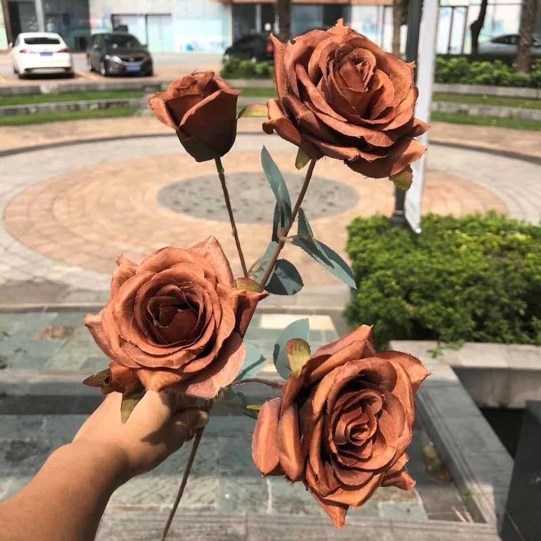 5 têtes couleur d'automne angle rose café profond