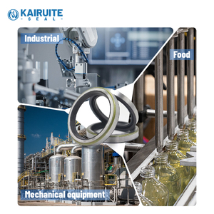 <span class=keywords><strong>Kit</strong></span> di Guarnizioni per Pistone Kairuite KP214 DP |   Guarnizione, Guida e Ammortizzatore 3-in-1 per Cilindri Pneumatici - Product Image 4