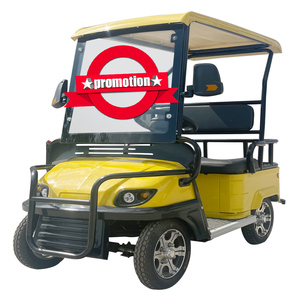 Carrito de Golf Eléctrico 2026 Mini, Motor de 800W, Batería de 48V, Certificado EEC, 30-50km/h, Autonomía de 50-70km, 1-2 Plazas, Importación Económica de China - Product Image 1