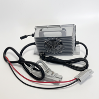 Chargeur de batterie LiFePO4 LNLEE 72V 20A portable et léger pour batterie au phosphate de fer lithium, tricycle électrique, voiturette de golf