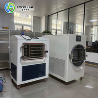 Kleine schaal bedrijf kleine vriesdroogmachine: fruit kleine batchproductie kleine vriesdroogmachine