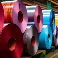 Bobina de Acero Galvanizado Prepintada PPGI, Color RAL, Recubrimiento PE SMP PVDF, para Estructuras de Acero de Electrodomésticos