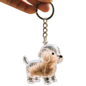 Transparent Puppy Hair Storage Box Ornament Keychain Decorative Pendant Hanging Display Souvenir - Product Image 1