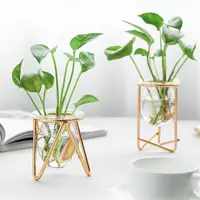 Vaso de vidro hidropônico, plantador de vidro com suporte de ferro para flor criativo casa sala de estar mesa decoração de escritório