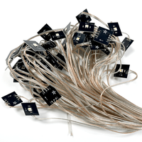 Guirlande lumineuse LED à pixels adressables RGBW personnalisée 5V 100 LED 50m en cuivre IP44, contrôlée par smartphone, pour l'aménagement paysager et les lumières de Noël
