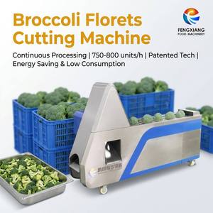 FC-XL-I FENGXIANG Máquina Cortadora de Brocoli, Procesamiento Continuo de 750-800 Unidades por Hora, Ahorro de Energía, Bajo Consumo - Product Image 1