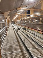 Hontech-Wins Interrupteur intelligent à intensité variable LED étanche pour fermes avicoles, simulateur d'aube et de coucher de soleil, 3000W, manuel DMX