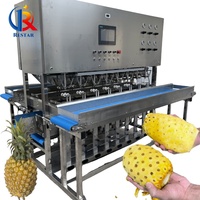 Geavanceerde mango-schilmachine, geschikt voor mango's, ananas, meloenen en taro.