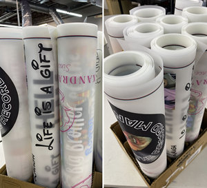 Прозрачная пленка, пластизол, трафаретная печать - Product Image 6