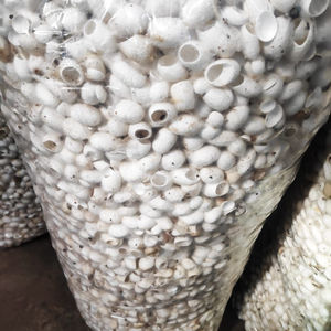 Мулберри шелк кокон массаж Пульс Массажер Цифровой физиотерапевтический аппарат электроды накладки для снятия боли в теле стул происхождения - Product Image 4