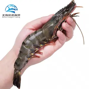 High Quality Wholesale Cheap Price White Shrimp/Fresh Water Prawn/Frozen Shrimp black tiger shrimp