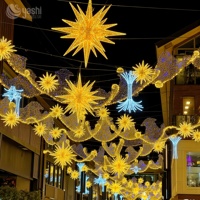 Lumières décoratives à LED illuminées pour la décoration de centre commercial, la décoration de fête et la configuration