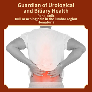 Gesso chinês médico para aplicação corporal auxiliando na remoção de pedras nos rins e aliviando a dor das pedras do sistema urinário - Product Image 4