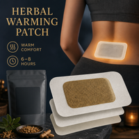 Patch de Moxibustion Naturel à l'Armoise avec Noyau Chauffant aux Herbes, Auto-adhésif pour Plusieurs Zones du Corps