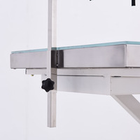 Table de toilettage électrique à Led pour chiens, ascenseur croix, outil pour toilettage d'animaux, en solde,