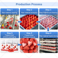 HNOC Commerciële 200kg Capaciteit Fruit Vriesdroogmachine Peptide Liofilisator Blauwe Bes Mango Vriesdroger