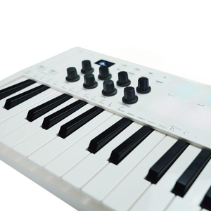 SMK-25 (Contrôleur MIDI) Clavier MIDI 25 touches avec pad de percussion, synthétiseur le plus vendu pour l'enseignement musical - Product Image 2