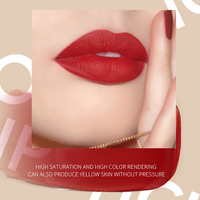 Rouge à lèvres mat vegan de luxe naturel, résistant à l'eau et à la transpiration, avec logo personnalisé, marque privée, 5g, ensemble avec porte-clés fleur - Vente en gros