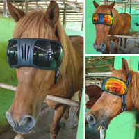 Professional Equestrians Horse Riding Goggles UV Protection Horse Racing Goggle for Equine Sports