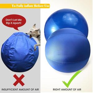 Pelota de Yoga Resistente para Perros de Razas Medianas/Grandes, Ecológica, con Cubierta Antideslizante - Product Image 5