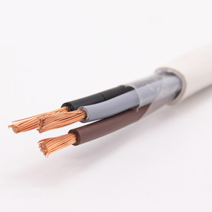 สายเคเบิลชนิด <span class=keywords><strong>VAF</strong></span> <span class=keywords><strong>VAF</strong></span>-<span class=keywords><strong>G</strong></span> 300/500 โวลต์ 70 องศาเซลเซียส ฉนวนพีวีซี แกนเดี่ยว สำหรับตลาดประเทศไทยและพม่า - Product Image 1