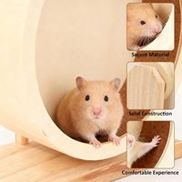 Roue d'exercice pour petits animaux en gros, réglable, silencieuse, en bois, jouet pour hamster, accessoires pour cage d'animaux