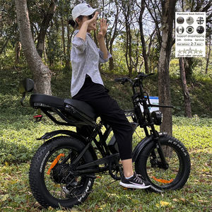 <span class=keywords><strong>Vélo</strong></span> <span class=keywords><strong>électrique</strong></span> à double moteur Enduro Ebike Bisicletas E BIKE <span class=keywords><strong>Vélo</strong></span> <span class=keywords><strong>électrique</strong></span> Elektro Motorrad tandem X80 Fat Electric Fat Biked - Product Image 6
