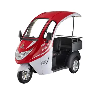Three Wheeled Passenger Transport 3-Seater Multi-Purpose Covered Club Car Golf Cart