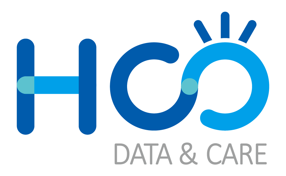 Hunan Weiding Information Technology Co., Ltd. logo