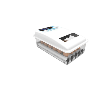 Nouvel incubateur entièrement <span class=keywords><strong>automatique</strong></span> Mini 24 œufs Machine à couver incubateur d'œufs de poule à usage domestique - Product Image 6