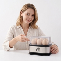 Cuiseur à œufs électrique automatique mini en acier inoxydable, portable, multifonctionnel, pour la cuisine et la maison, capacité de 7+ œufs