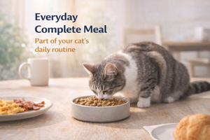 Aliments secs en gros pour chats, formule riche en protéines de poulet et de poisson, nutrition sans céréales pour chats adultes, marque privée OEM - Product Image 6