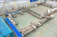 Automatische multifunctionele voedselveilige roestvrijstalen fruit- en groentesapcentrifuge voor industrieel gebruik, geschikt voor de verwerking van gember.