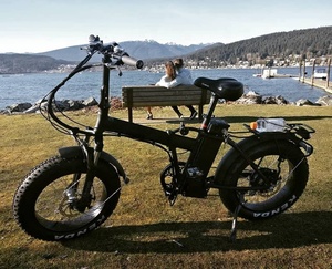 Vélo à neige électrique pour enfants, pneus larges de <span class=keywords><strong>20</strong></span> <span class=keywords><strong>pouces</strong></span>, pliable, suspension, batterie au lithium sans balais, cadre en alliage d'aluminium, 7 vitesses, 60 km - Product Image 6