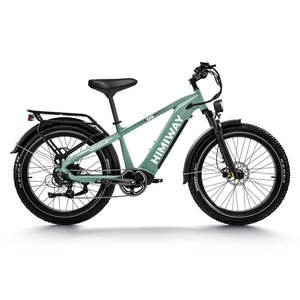 Vélo électrique tout-terrain D5 (Zebra) Premium, autonomie 60 km, 48V 350W, avec moteur roue arrière pour la conduite tout-terrain, multicolore Zebra Pre - Product Image 3