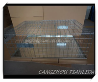 Piège à oiseaux vivants en acier galvanisé haute performance avec portes à double entrée unidirectionnelles - Portable et durable