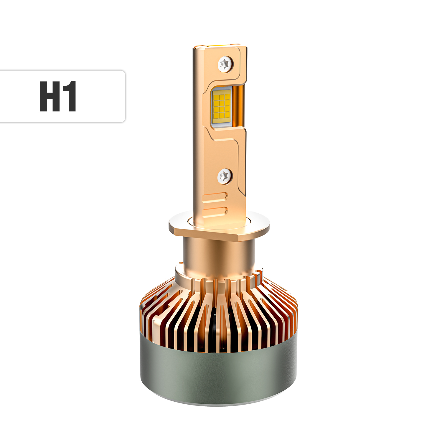 H1