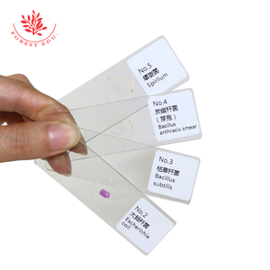 Vetrini per Microscopia di Bacteri e Spore, Colorazione di Gram, Campioni Preparati Misti per Istruzione Superiore, 10 Tipi Tipici - Product Image 6