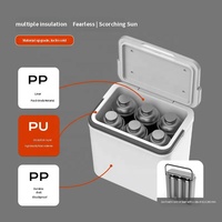 Glacière isotherme portable moderne 11L pour camping et pique-nique, étanche, en PP de qualité alimentaire, anti-chute, pour vin, bière, lait maternel