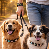 Collier pour chien en cuir véritable personnalisé, best-seller, avec système de libération rapide et élégantes perles en cristal