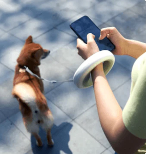 สายจูงสุนัขอัจฉริยะเชือกไนล่อนอัพเกรด2025เชือกจูงสุนัขอัจฉริยะแบบแฮนด์ฟรีป้องกันการกระแทกเดินไฟ LED พับเก็บได้ลายพิมพ์ยูเอฟโอ - Product Image 6